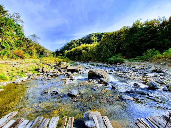 Jim Corbett National Park